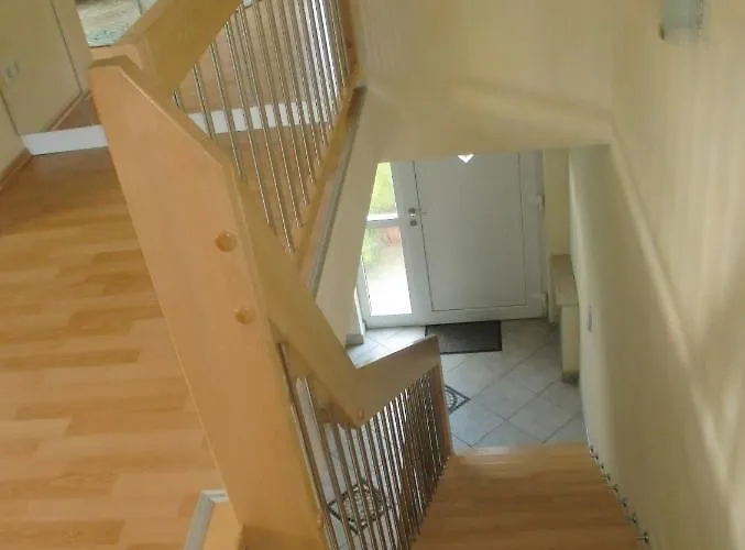 公寓 Oase Im Dresdner Westen